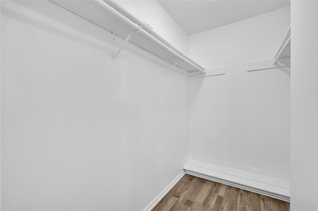 walk in closet featuring wood finished floors