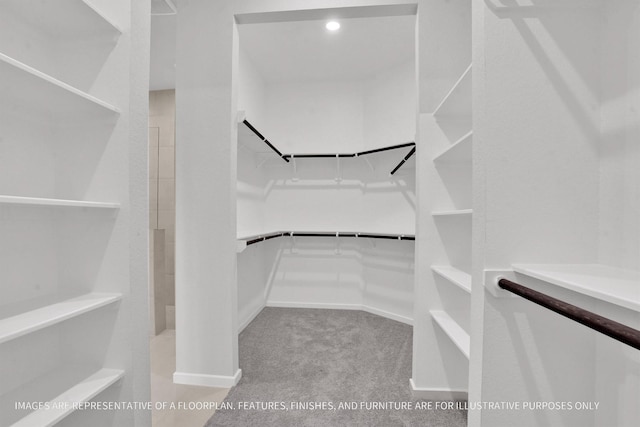 walk in closet featuring carpet