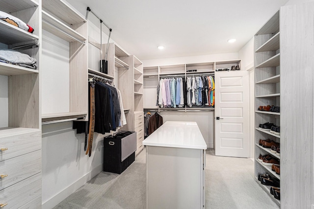 spacious closet with light carpet