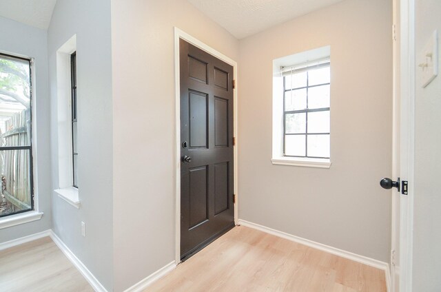 foyer entrance with a wealth of natural light and light wood-type flooring