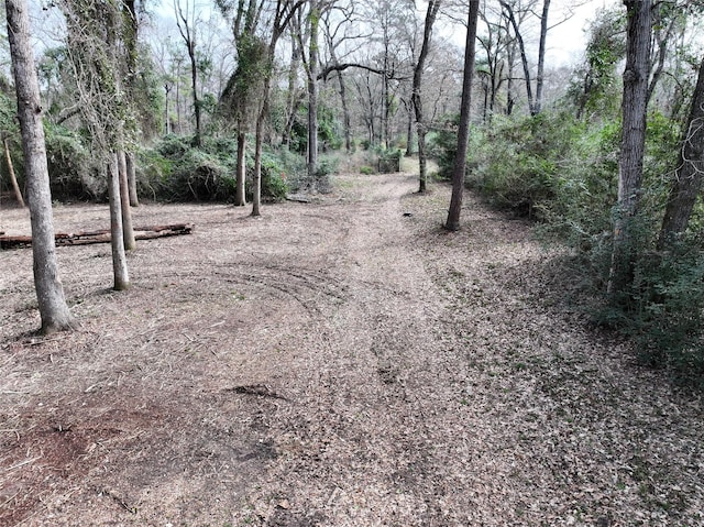 000 Mueschke Rd, Tomball TX, 77377 land for sale