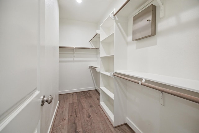 walk in closet with wood-type flooring