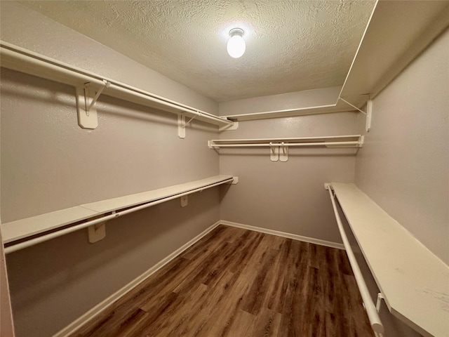 walk in closet featuring dark hardwood / wood-style floors