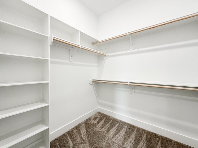 walk in closet featuring carpet flooring