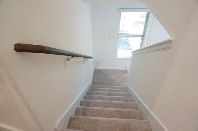 staircase with carpet flooring