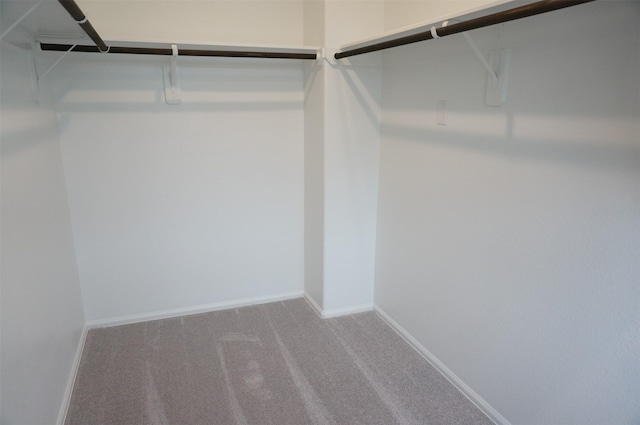 walk in closet with carpet