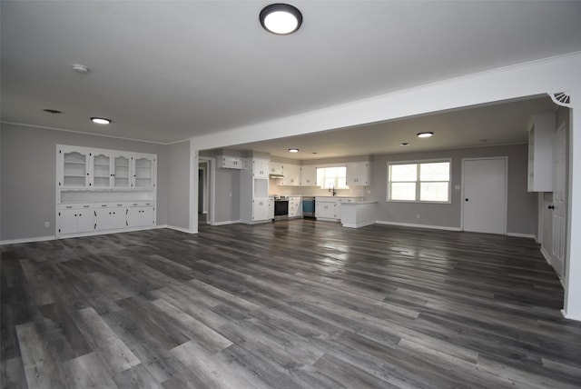 unfurnished living room with dark hardwood / wood-style flooring and sink