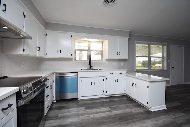 kitchen with stainless steel appliances, white cabinetry, sink, and a wealth of natural light