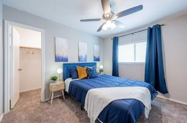 carpeted bedroom featuring a walk in closet, a closet, and ceiling fan