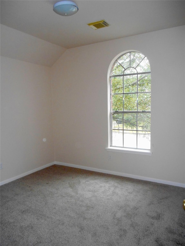 spare room featuring lofted ceiling and carpet flooring