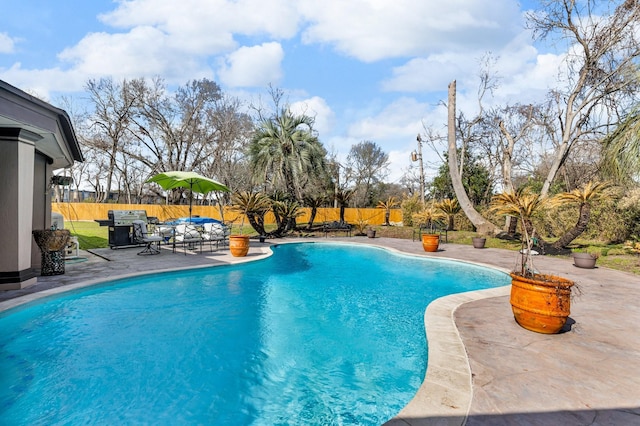 view of swimming pool with grilling area and a patio area