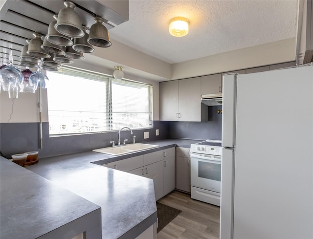 kitchen featuring sink, dark wood-type flooring, a textured ceiling, and white appliances