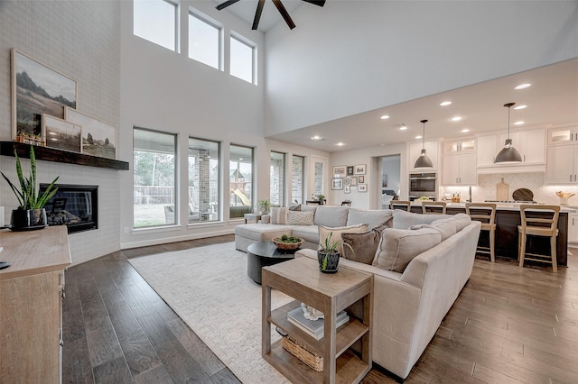 living area featuring a large fireplace, dark wood-style floors, and a wealth of natural light