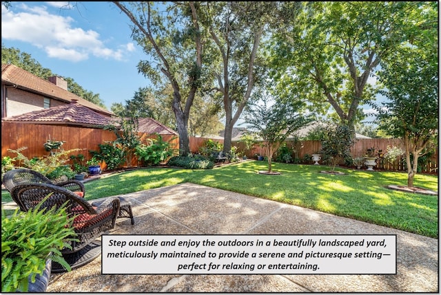 view of yard featuring a patio