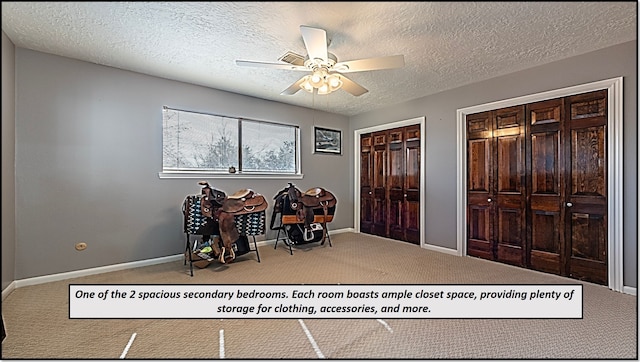 interior space with ceiling fan, carpet, and a textured ceiling