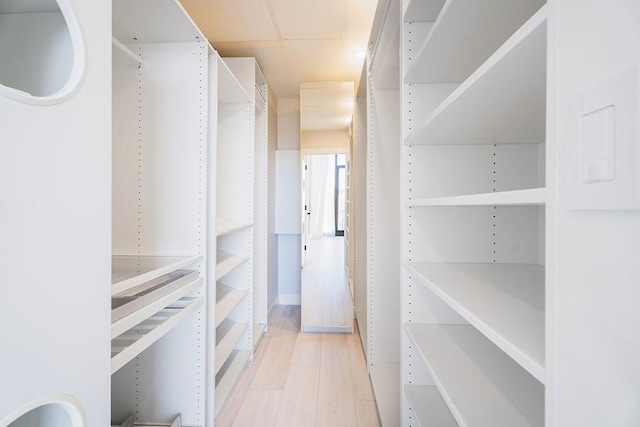 walk in closet featuring light hardwood / wood-style floors