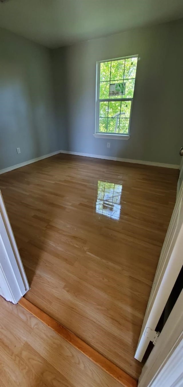 spare room with hardwood / wood-style floors