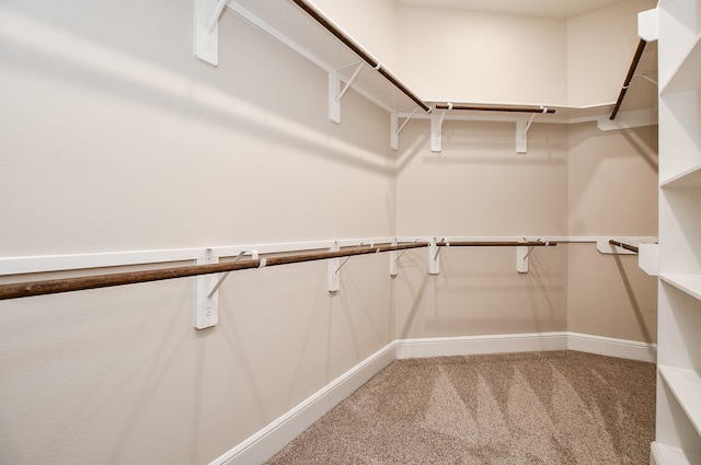 spacious closet featuring carpet flooring