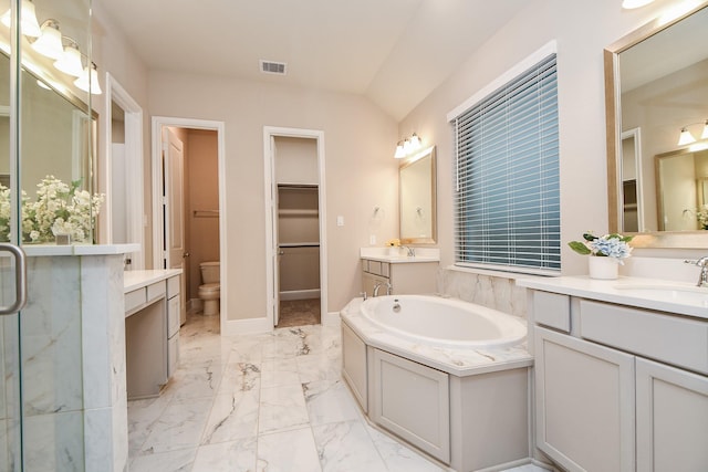 bathroom with vanity, toilet, and a bathing tub