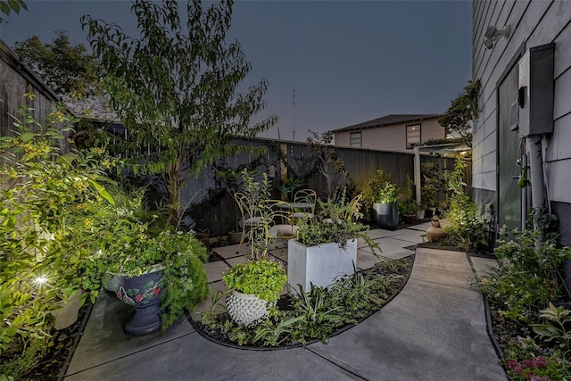 view of yard featuring a patio