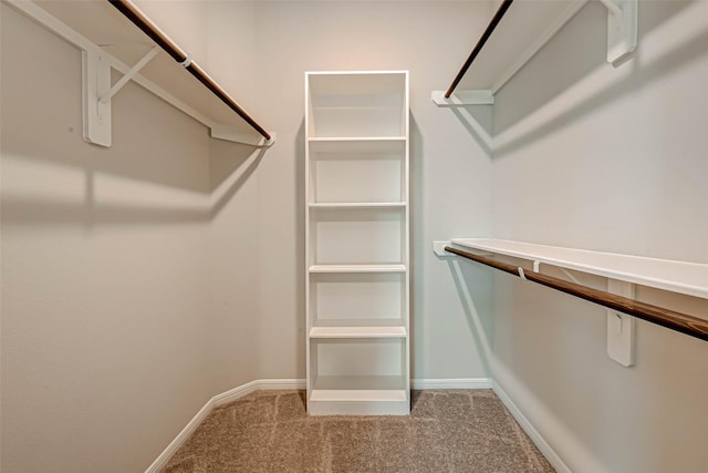 spacious closet featuring carpet flooring