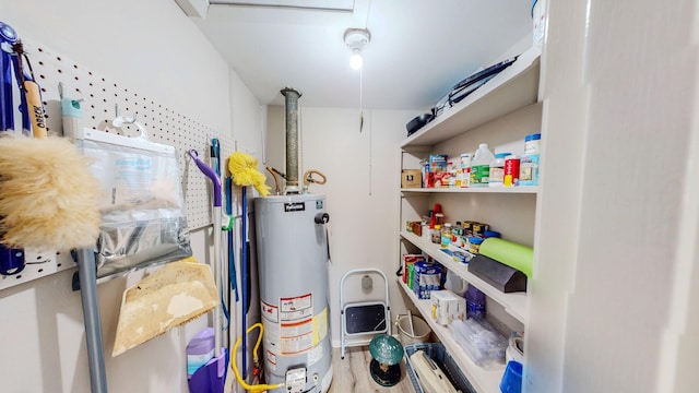 29331 County Rd 25, Damon, TX 77430 - pantry with water heater