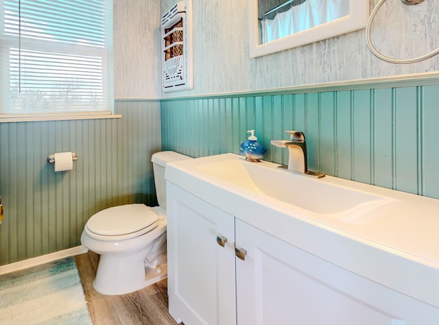29331 County Rd 25, Damon, TX 77430 - bathroom with vanity, hardwood / wood-style floors, and toilet