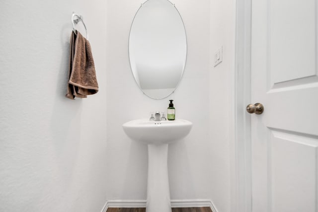 bathroom featuring wood-type flooring