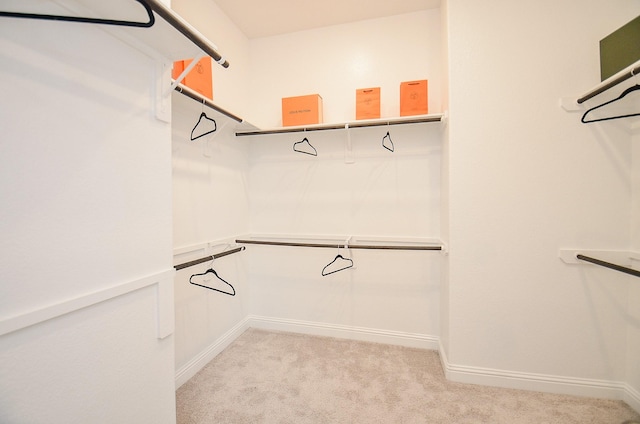 spacious closet featuring light carpet