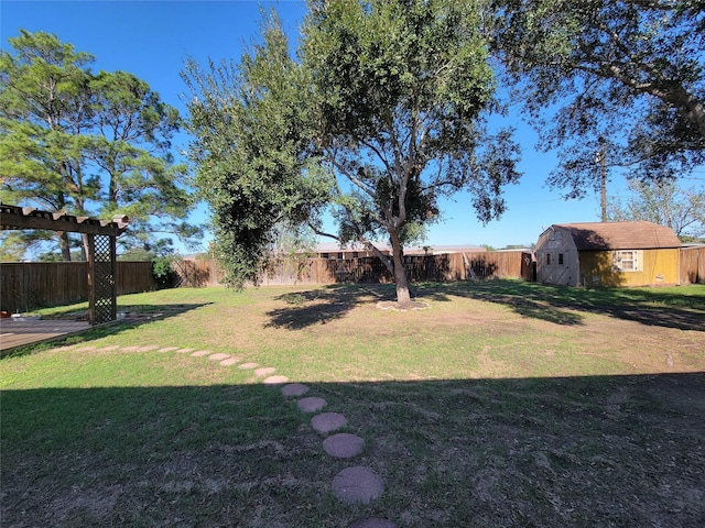 view of yard featuring a shed