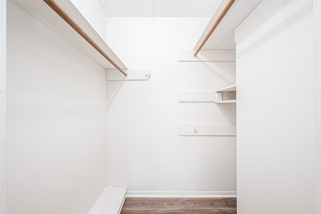 spacious closet featuring hardwood / wood-style floors