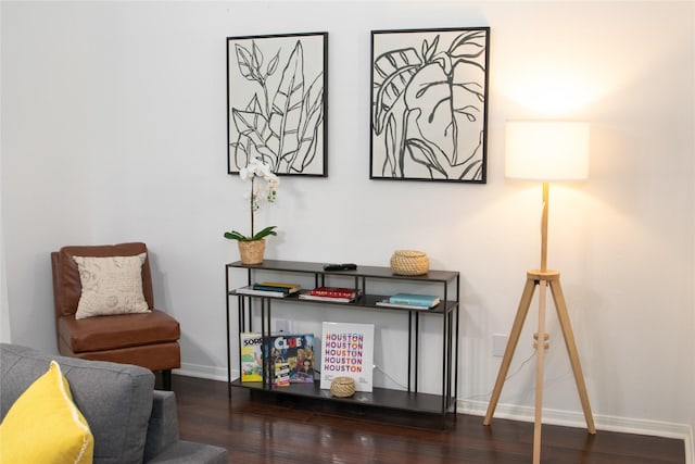 living area featuring dark hardwood / wood-style floors