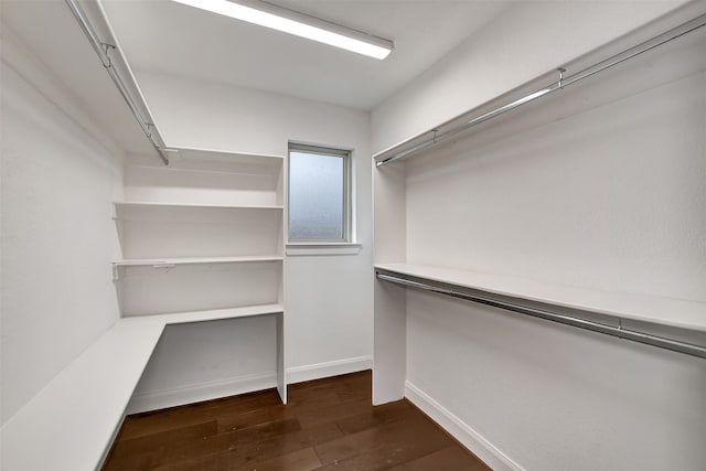 walk in closet with dark hardwood / wood-style flooring