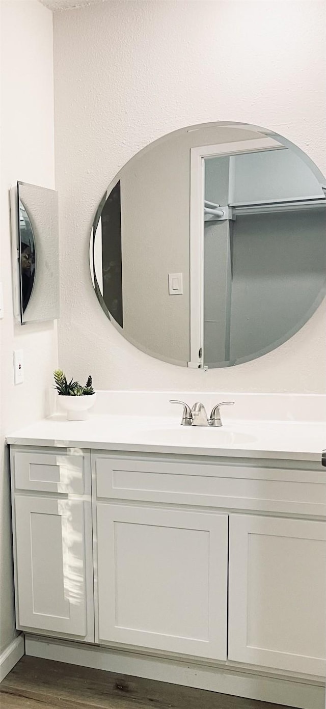 bathroom with hardwood / wood-style flooring and vanity