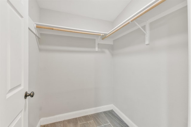 spacious closet featuring wood-type flooring