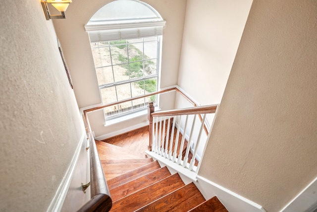 stairway with wood-type flooring