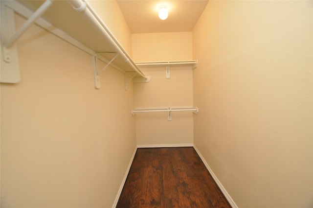 9210 Hidden Lake E Lake E, Magnolia, TX 77354 - spacious closet featuring wood finished floors