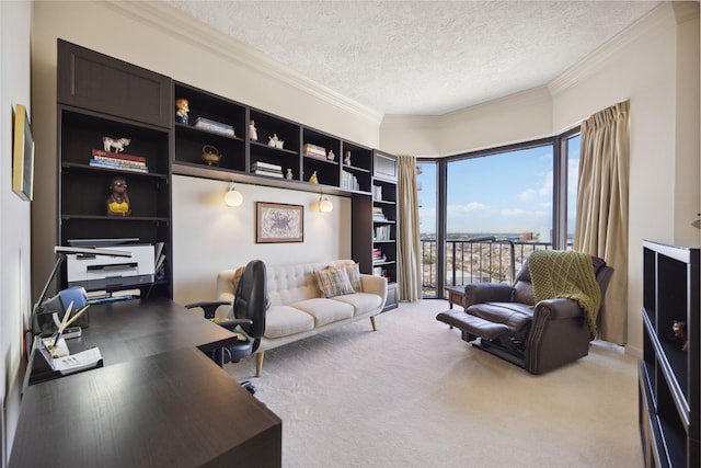 interior space featuring light colored carpet, ornamental molding, and a textured ceiling