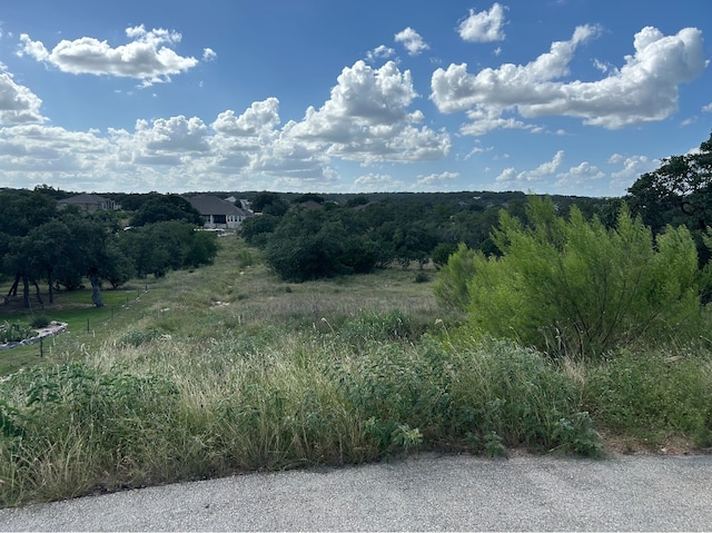 view of local wilderness