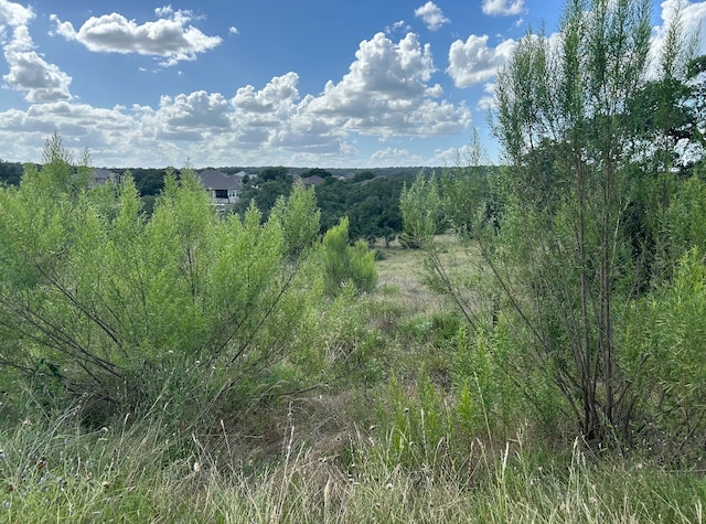 view of landscape