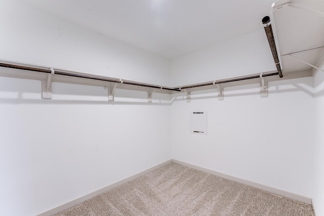 spacious closet with carpet flooring