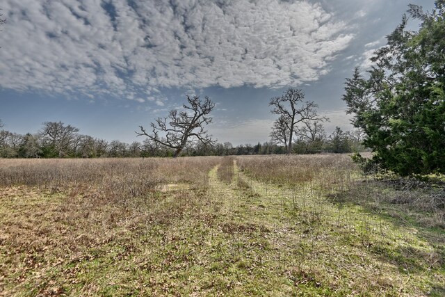 TBD County Road 278, Somerville, TX 77879 - photo 13
