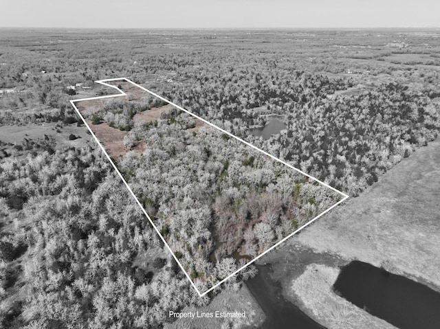 TBD County Road 278, Somerville, TX 77879 - photo 21