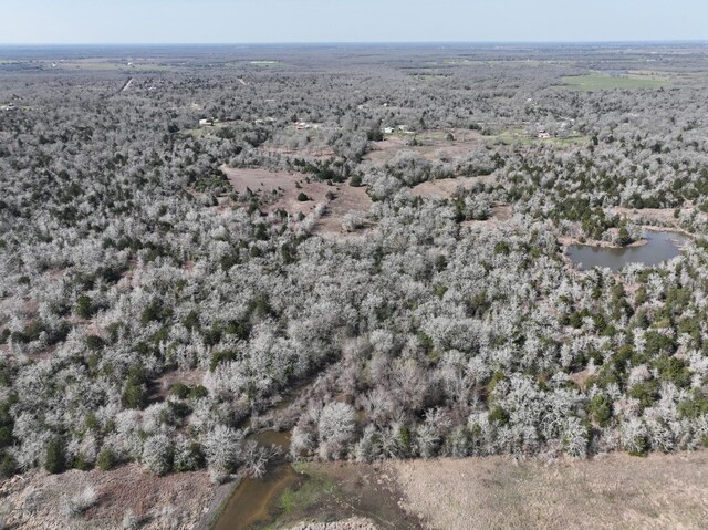 TBD County Road 278, Somerville, TX 77879 - photo 22