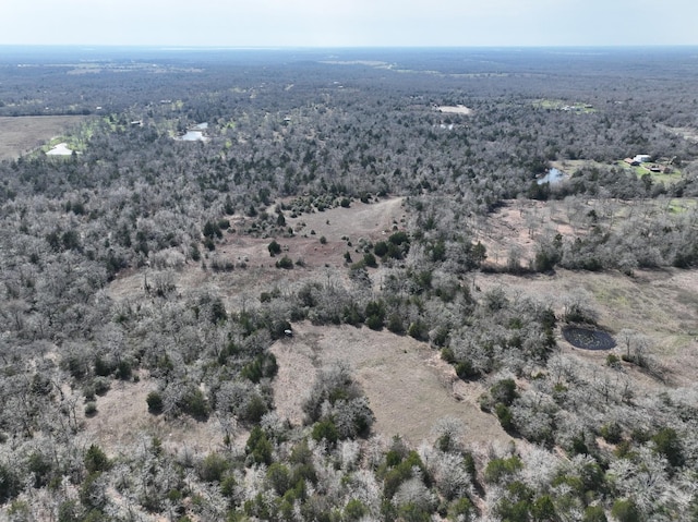 TBD County Road 278, Somerville, TX 77879 - photo 26
