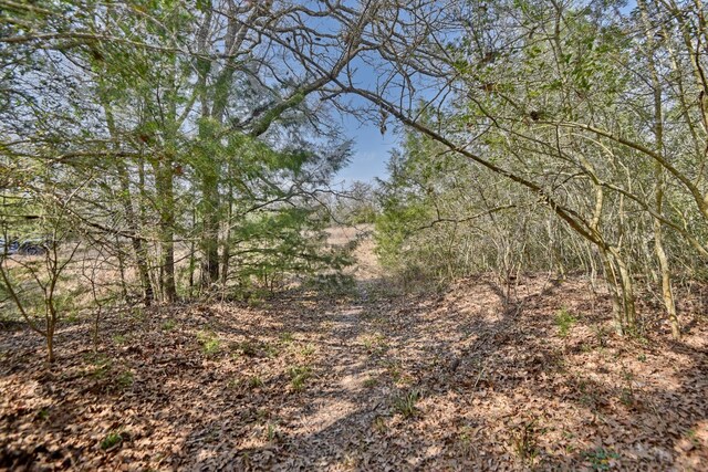 TBD County Road 278, Somerville, TX 77879 - photo 15