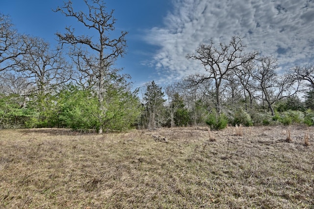 TBD County Road 278, Somerville, TX 77879 - photo 16