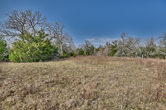 TBD County Road 278, Somerville, TX 77879 - photo 17