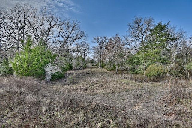 TBD County Road 278, Somerville, TX 77879 - photo 19