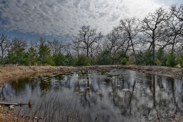 TBD County Road 278, Somerville TX, 77879 land for sale